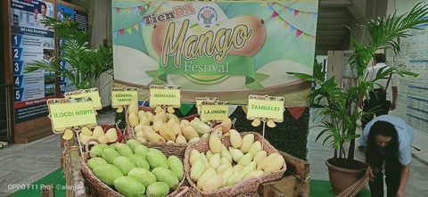 Nông dân Philippines trúng mùa xoài, bán rẻ như cho - Ảnh 2. Nông dân Philippines trúng mùa xoài, bán rẻ như cho - Ảnh 2.