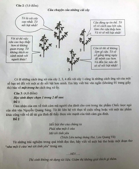 Đề thi văn lớp 10 TP.HCM: thí sinh em khen hay, em nói khó - Ảnh 2. Đề thi văn lớp 10 TP.HCM: thí sinh em khen hay, em nói khó - Ảnh 2.
