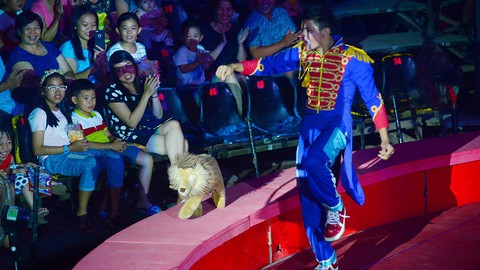Đưa con ra khỏi nhà, rời điện thoại ngày hè - Ảnh 1. Đưa con ra khỏi nhà, rời điện thoại ngày hè - Ảnh 1.