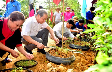 Hiên nhà, bờ giậu, lề đường Huế sẽ ngập sắc hoa - Ảnh 1. Hiên nhà, bờ giậu, lề đường Huế sẽ ngập sắc hoa - Ảnh 1.