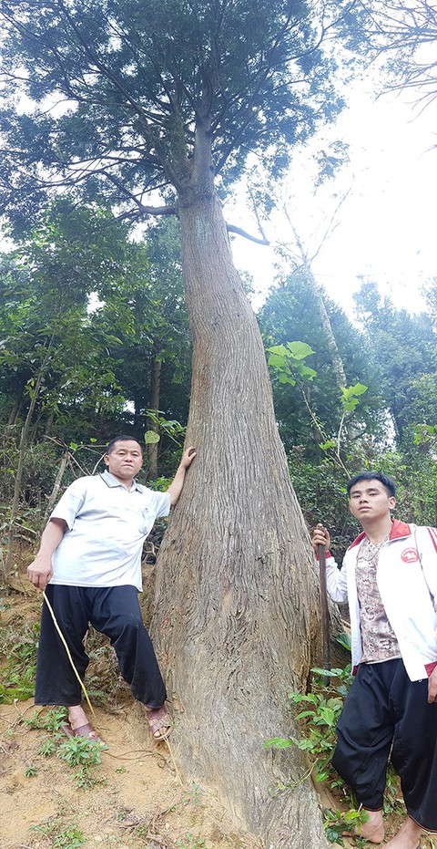 huyen thoai pomu 1 huyen thoai pomu 1