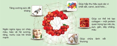 CNattu kids: sản phẩm từ Vitamin C tự nhiên và Rutin tự nhiên - Ảnh 1. CNattu kids: sản phẩm từ Vitamin C tự nhiên và Rutin tự nhiên - Ảnh 1.