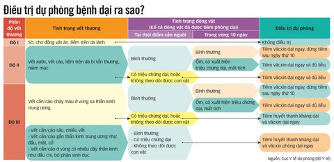 Mèo cào nguy hiểm như chó cắn - Ảnh 2. Mèo cào nguy hiểm như chó cắn - Ảnh 2.