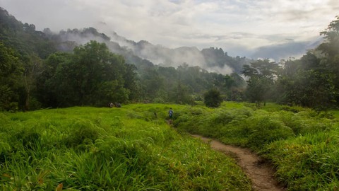 Ciudad Perdida - thành phố cổ còn già đời hơn Machu Picchu - Ảnh 5. Ciudad Perdida - thành phố cổ còn già đời hơn Machu Picchu - Ảnh 5.