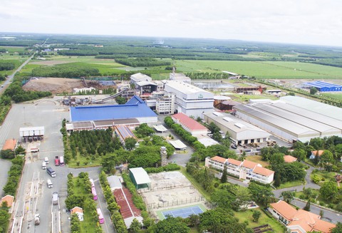 SBT chi trả cổ tức bằng tiền mặt 8% - Ảnh 1. SBT chi trả cổ tức bằng tiền mặt 8% - Ảnh 1.
