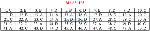 Bài giải gợi ý môn toán thi THPT quốc gia 2019 - đủ 24 mã đề - Ảnh 4. Bài giải gợi ý môn toán thi THPT quốc gia 2019 - đủ 24 mã đề - Ảnh 4.