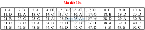 Bài giải gợi ý môn toán thi THPT quốc gia 2019 - đủ 24 mã đề - Ảnh 5. Bài giải gợi ý môn toán thi THPT quốc gia 2019 - đủ 24 mã đề - Ảnh 5.