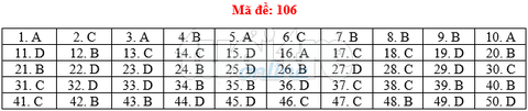 Bài giải gợi ý môn toán thi THPT quốc gia 2019 - đủ 24 mã đề - Ảnh 7. Bài giải gợi ý môn toán thi THPT quốc gia 2019 - đủ 24 mã đề - Ảnh 7.