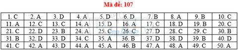 Bài giải gợi ý môn toán thi THPT quốc gia 2019 - đủ 24 mã đề - Ảnh 8. Bài giải gợi ý môn toán thi THPT quốc gia 2019 - đủ 24 mã đề - Ảnh 8.