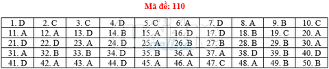 Bài giải gợi ý môn toán thi THPT quốc gia 2019 - đủ 24 mã đề - Ảnh 11. Bài giải gợi ý môn toán thi THPT quốc gia 2019 - đủ 24 mã đề - Ảnh 11.