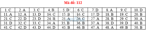 Bài giải gợi ý môn toán thi THPT quốc gia 2019 - đủ 24 mã đề - Ảnh 13. Bài giải gợi ý môn toán thi THPT quốc gia 2019 - đủ 24 mã đề - Ảnh 13.