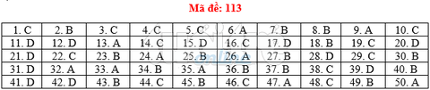 Bài giải gợi ý môn toán thi THPT quốc gia 2019 - đủ 24 mã đề - Ảnh 14. Bài giải gợi ý môn toán thi THPT quốc gia 2019 - đủ 24 mã đề - Ảnh 14.