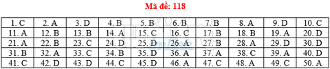 Bài giải gợi ý môn toán thi THPT quốc gia 2019 - đủ 24 mã đề - Ảnh 19. Bài giải gợi ý môn toán thi THPT quốc gia 2019 - đủ 24 mã đề - Ảnh 19.