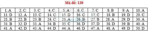 Bài giải gợi ý môn toán thi THPT quốc gia 2019 - đủ 24 mã đề - Ảnh 21. Bài giải gợi ý môn toán thi THPT quốc gia 2019 - đủ 24 mã đề - Ảnh 21.