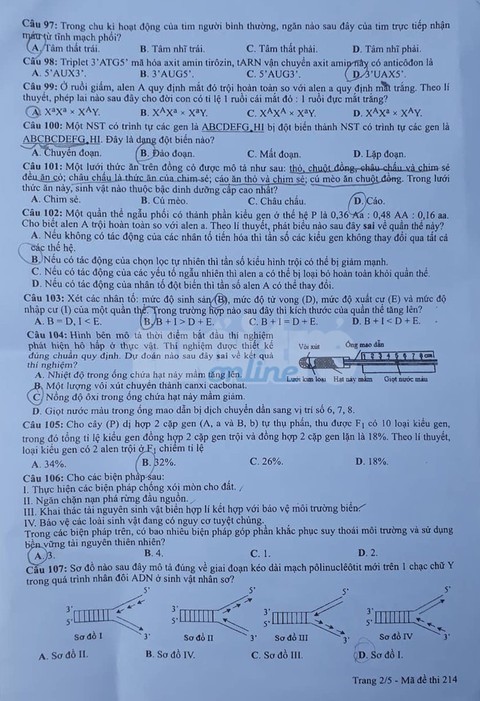 Đáp án môn sinh thi THPT quốc gia 2019 - Ảnh 11. Đáp án môn sinh thi THPT quốc gia 2019 - Ảnh 11.