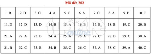 Bài giải gợi ý môn vật lý THPT quốc gia 2019 - Ảnh 2. Bài giải gợi ý môn vật lý THPT quốc gia 2019 - Ảnh 2.