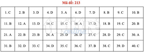 Bài giải gợi ý môn vật lý THPT quốc gia 2019 - Ảnh 4. Bài giải gợi ý môn vật lý THPT quốc gia 2019 - Ảnh 4.