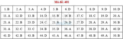 Bài giải gợi ý môn tiếng Anh THPT quốc gia 2019 - đủ 24 mã đề - Ảnh 2.