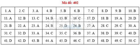Bài giải gợi ý môn tiếng Anh THPT quốc gia 2019 - đủ 24 mã đề - Ảnh 3.