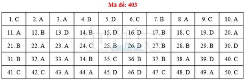 Bài giải gợi ý môn tiếng Anh THPT quốc gia 2019 - đủ 24 mã đề - Ảnh 4.