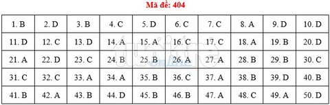 Bài giải gợi ý môn tiếng Anh THPT quốc gia 2019 - đủ 24 mã đề - Ảnh 5.