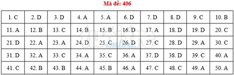 Bài giải gợi ý môn tiếng Anh THPT quốc gia 2019 - đủ 24 mã đề - Ảnh 7.