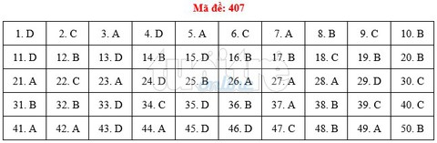 Bài giải gợi ý môn tiếng Anh THPT quốc gia 2019 - đủ 24 mã đề - Ảnh 8.