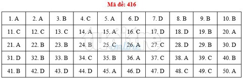 Bài giải gợi ý môn tiếng Anh THPT quốc gia 2019 - đủ 24 mã đề - Ảnh 17.