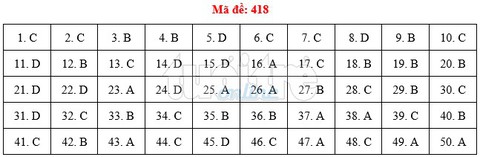 Bài giải gợi ý môn tiếng Anh THPT quốc gia 2019 - đủ 24 mã đề - Ảnh 19.