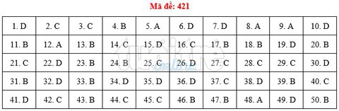 Bài giải gợi ý môn tiếng Anh THPT quốc gia 2019 - đủ 24 mã đề - Ảnh 22.