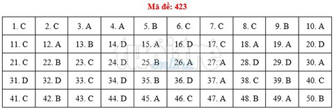 Bài giải gợi ý môn tiếng Anh THPT quốc gia 2019 - đủ 24 mã đề - Ảnh 24.