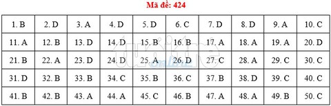 Bài giải gợi ý môn tiếng Anh THPT quốc gia 2019 - đủ 24 mã đề - Ảnh 25.
