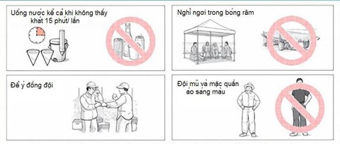 3 người hôn mê vì làm việc nhiều giờ trong nắng nóng - Ảnh 1. 3 người hôn mê vì làm việc nhiều giờ trong nắng nóng - Ảnh 1.