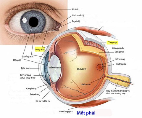 Viêm củng mạc - Ảnh 1. Viêm củng mạc - Ảnh 1.