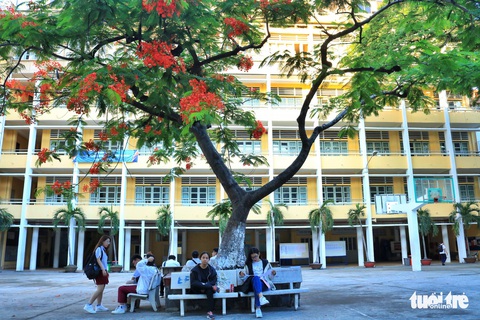 Nụ cười tỏa nắng sau mùa thi, chúng ta tạm biệt thời học sinh đáng nhớ! - Ảnh 17. Nụ cười tỏa nắng sau mùa thi, chúng ta tạm biệt thời học sinh đáng nhớ! - Ảnh 17.