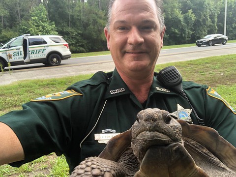 CNN: Cảnh sát Florida đã bắt một cư dân di chuyển chậm - Ảnh 1. CNN: Cảnh sát Florida đã bắt một cư dân di chuyển chậm - Ảnh 1.