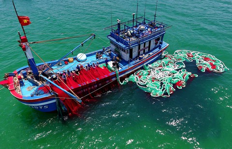 Ngành thuỷ sản chạy nước rút trước nguy cơ bị thẻ đỏ - Ảnh 1. Ngành thuỷ sản chạy nước rút trước nguy cơ bị thẻ đỏ - Ảnh 1.