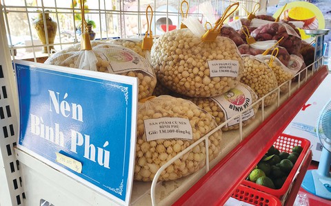 hội chợ hội chợ