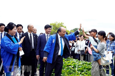 Thủ tướng đọc ca dao khi dự Lễ hội hoa sen Nhật - Việt - Ảnh 1. Thủ tướng đọc ca dao khi dự Lễ hội hoa sen Nhật - Việt - Ảnh 1.