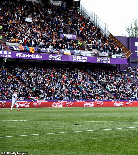 7 cầu thủ Real Valladolid bị tình nghi bán độ ở La Liga - Ảnh 1. 7 cầu thủ Real Valladolid bị tình nghi bán độ ở La Liga - Ảnh 1.