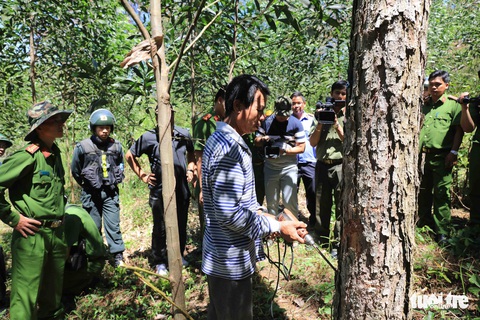 Đừng đổ cho địa bàn rộng rồi để mất rừng - Ảnh 6. Đừng đổ cho địa bàn rộng rồi để mất rừng - Ảnh 6.