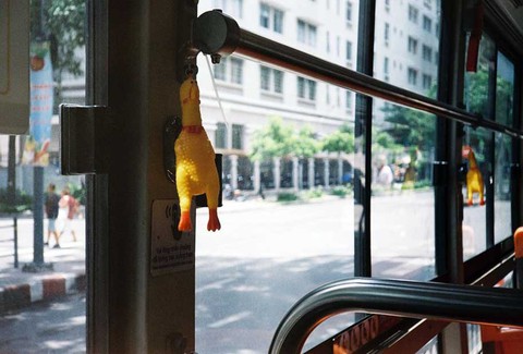 Bóp bụng con gà đi em, nó là chuông xe buýt đó! - Ảnh 1. Bóp bụng con gà đi em, nó là chuông xe buýt đó! - Ảnh 1.