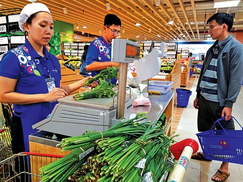 Ngày không túi nilon - Ảnh 3. Ngày không túi nilon - Ảnh 3.