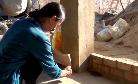 Bọ lạ tí hon gây đảo lộn cuộc sống người dân - Ảnh 3. Bọ lạ tí hon gây đảo lộn cuộc sống người dân - Ảnh 3.