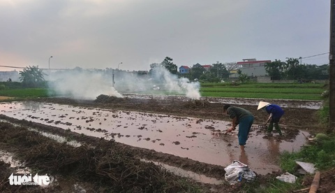 Ô nhiễm bụi mịn tăng cao ở Hà Nội do nhiều nơi đốt rơm rạ - Ảnh 4. Ô nhiễm bụi mịn tăng cao ở Hà Nội do nhiều nơi đốt rơm rạ - Ảnh 4.