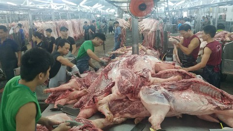 Chợ đầu mối và tiểu thương TP.HCM hợp sức đấu dịch tả heo - Ảnh 5. Chợ đầu mối và tiểu thương TP.HCM hợp sức đấu dịch tả heo - Ảnh 5.