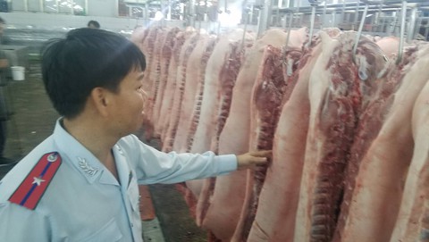 Chợ đầu mối và tiểu thương TP.HCM hợp sức đấu dịch tả heo - Ảnh 4. Chợ đầu mối và tiểu thương TP.HCM hợp sức đấu dịch tả heo - Ảnh 4.