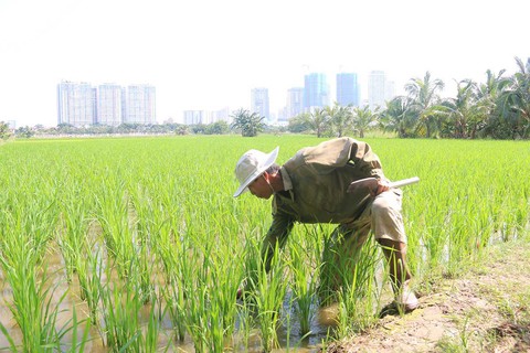 Sống treo - Kỳ 1: Mỏi mòn ở Thanh Đa - Ảnh 1. Sống treo - Kỳ 1: Mỏi mòn ở Thanh Đa - Ảnh 1.