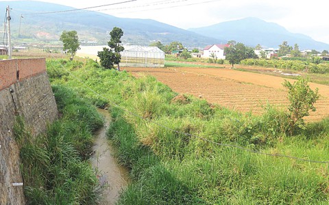 Đa Mê, vật đổi sao dời - Nhất Linh phải lòng địa thế một khu đất ở... - Ảnh 1. Đa Mê, vật đổi sao dời - Nhất Linh phải lòng địa thế một khu đất ở... - Ảnh 1.
