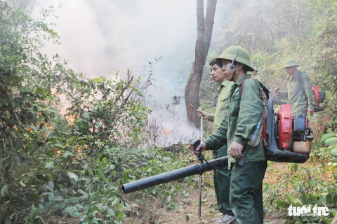 Quân dân căng mình ngày đêm chữa cháy cứu rừng - Ảnh 8. Quân dân căng mình ngày đêm chữa cháy cứu rừng - Ảnh 8.